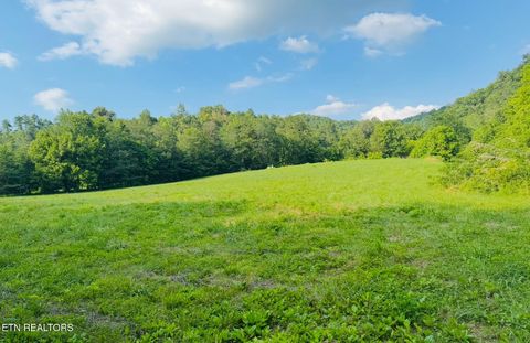 1668 Misty Mountain Way Sevierville TN 37876