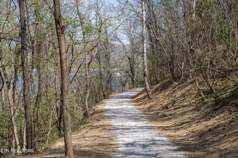 Tiny photo for 3385 Russell Brothers Rd, Sharps Chapel, TN 37866 (MLS # 1335977)