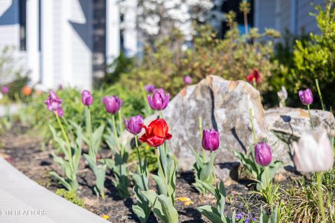 Tiny photo for 3385 Russell Brothers Rd, Sharps Chapel, TN 37866 (MLS # 1335977)