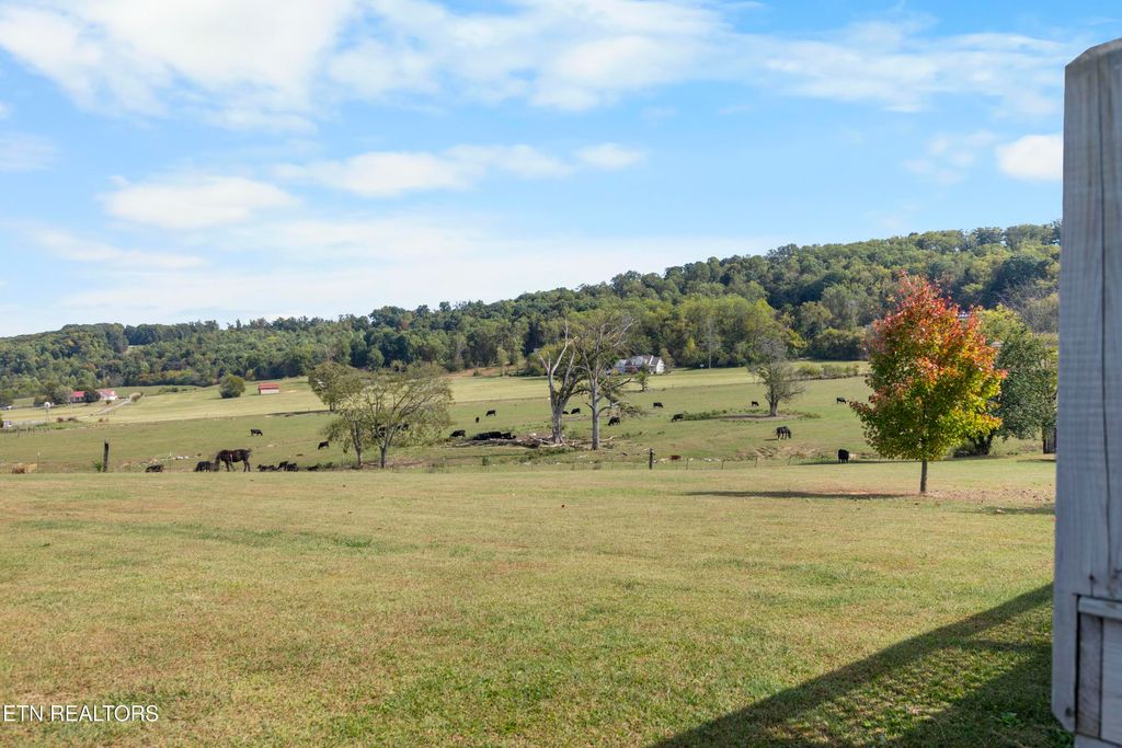 Photo of 178 Shyane Lane, Sweetwater, TN 37874 (MLS # 1319170)