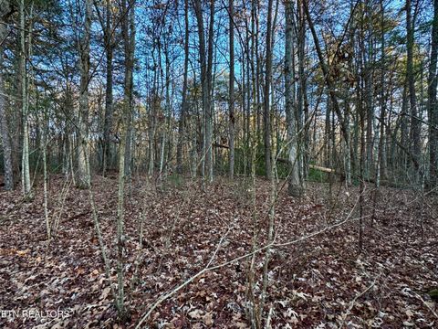 Tiny photo for George Drive, Deer Lodge, TN 37726 (MLS # 1324756)