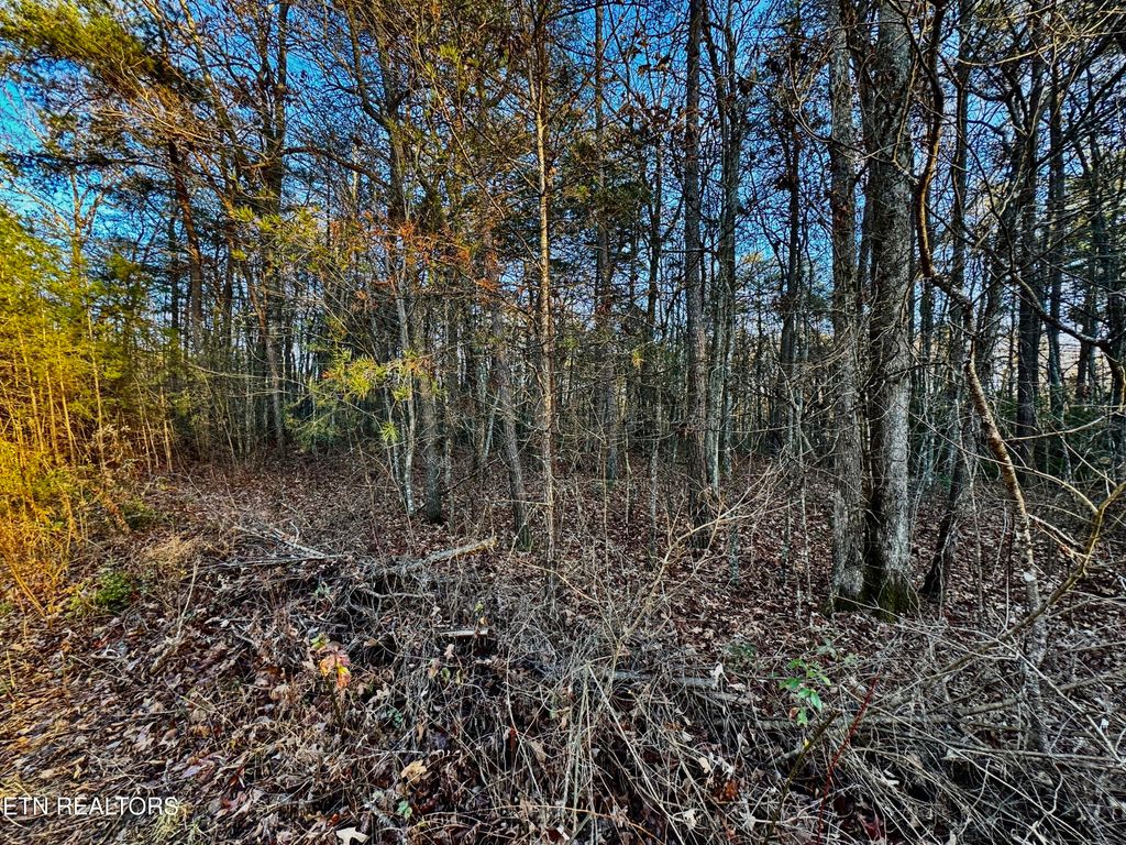 Photo of George Drive, Deer Lodge, TN 37726 (MLS # 1324756)