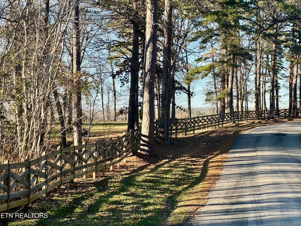 Photo of George Drive, Deer Lodge, TN 37726 (MLS # 1324756)