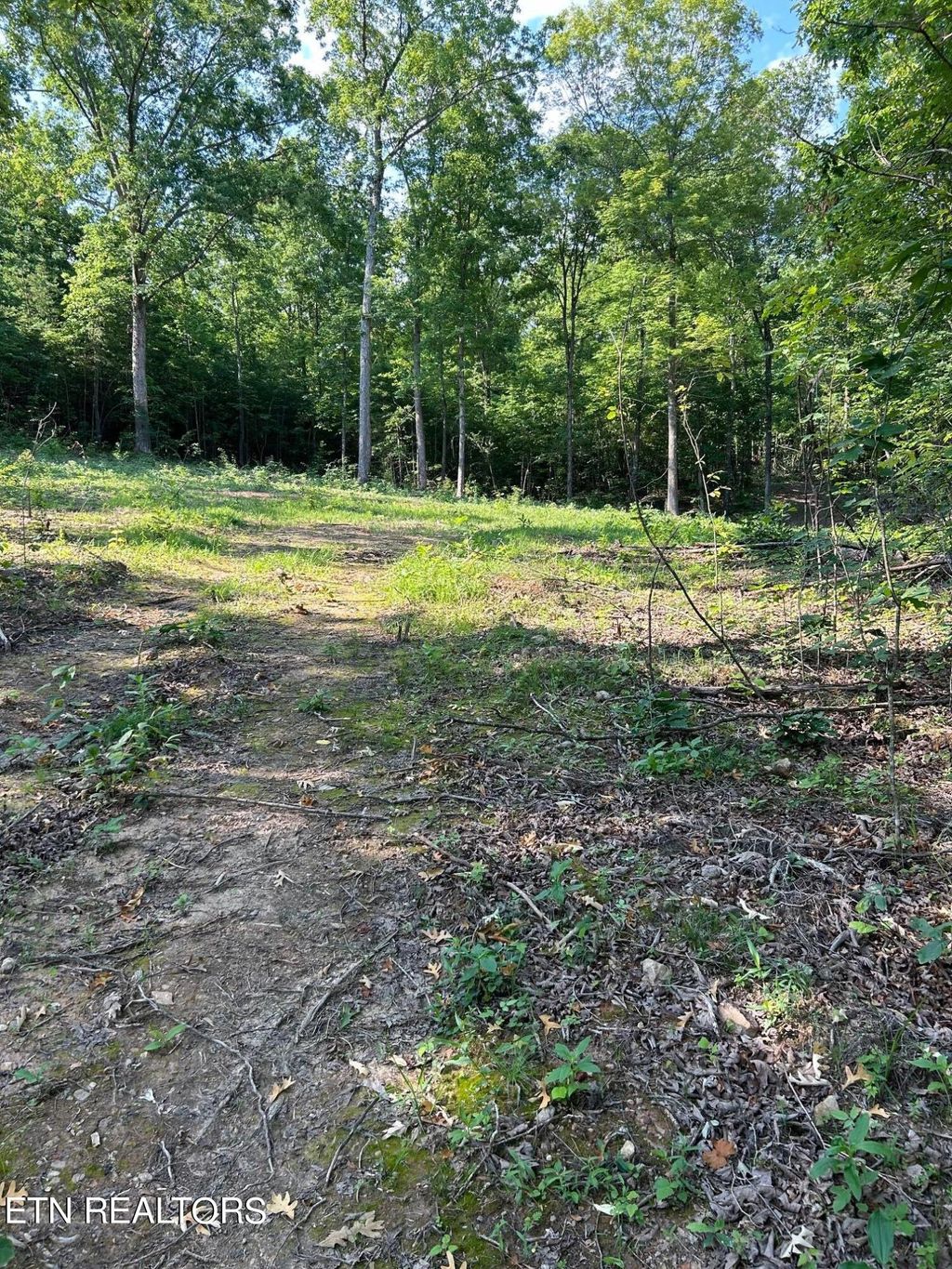 Photo of 41 Mecca Pike, Tellico Plains, TN 37385 (MLS # 1249382)