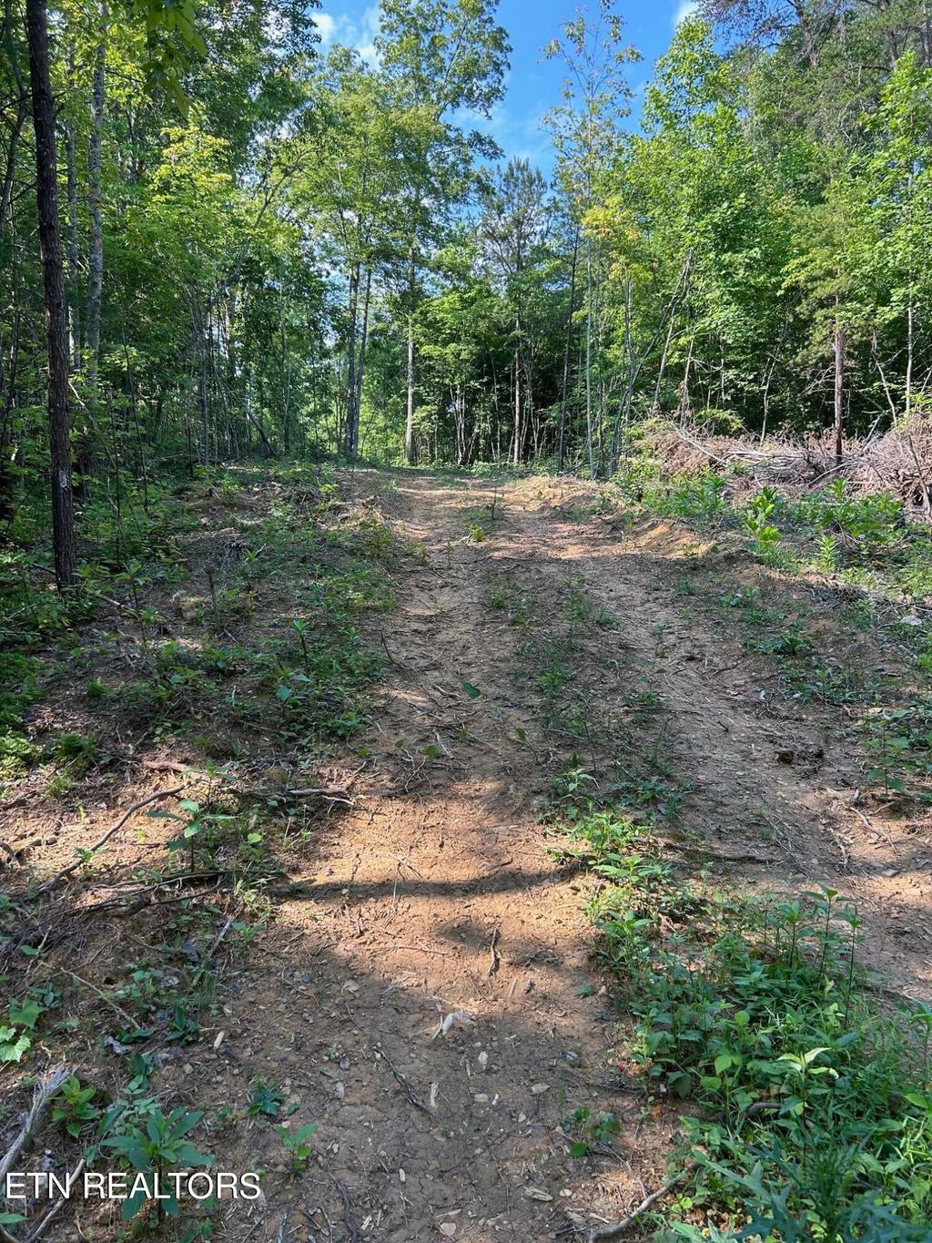 Photo of 41 Mecca Pike, Tellico Plains, TN 37385 (MLS # 1249382)