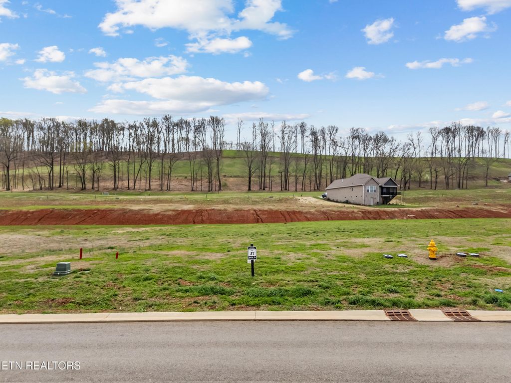 Photo of 674 Black Bear Circle, Loudon, TN 37774 (MLS # 1332788)