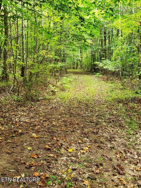 Tiny photo for S Nopone Valley Rd #058 014.00, Decatur, TN 37322 (MLS # 1333703)