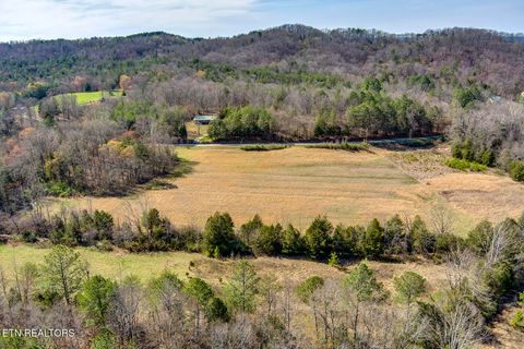 Tiny photo for S Nopone Valley Rd #058 014.00, Decatur, TN 37322 (MLS # 1333703)