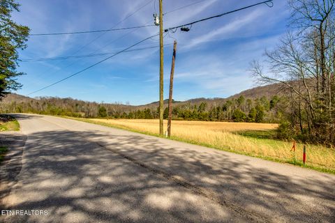 Tiny photo for S Nopone Valley Rd #058 014.00, Decatur, TN 37322 (MLS # 1333703)