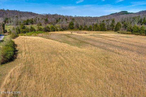 Tiny photo for S Nopone Valley Rd #058 014.00, Decatur, TN 37322 (MLS # 1333703)