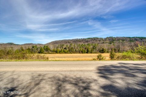Tiny photo for S Nopone Valley Rd #058 014.00, Decatur, TN 37322 (MLS # 1333703)