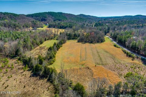 Tiny photo for S Nopone Valley Rd #058 014.00, Decatur, TN 37322 (MLS # 1333703)