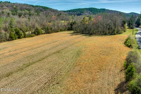 Tiny photo for S Nopone Valley Rd #058 014.00, Decatur, TN 37322 (MLS # 1333703)