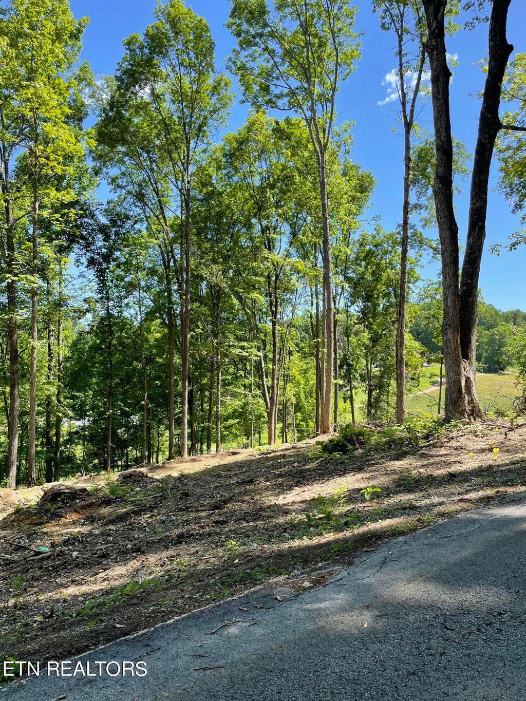Photo of holt ridge Rd, Tazewell, TN 37879 (MLS # 1268304)