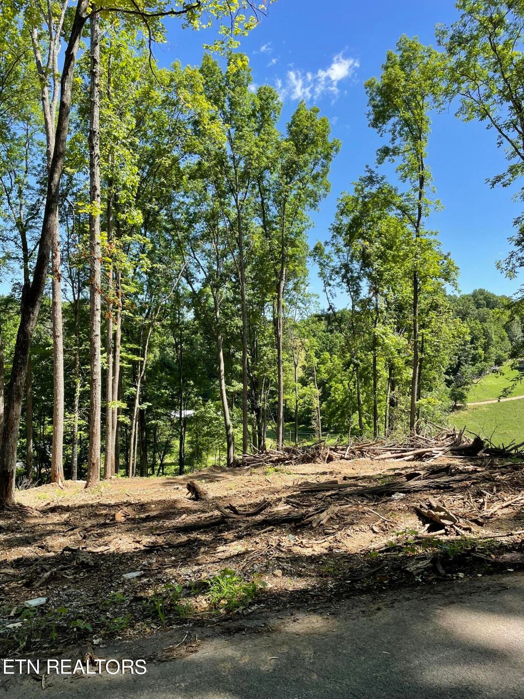Photo of holt ridge Rd, Tazewell, TN 37879 (MLS # 1268304)