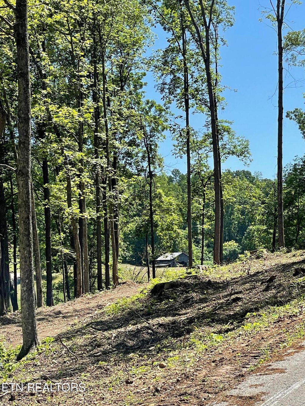 Photo of holt ridge Rd, Tazewell, TN 37879 (MLS # 1268304)