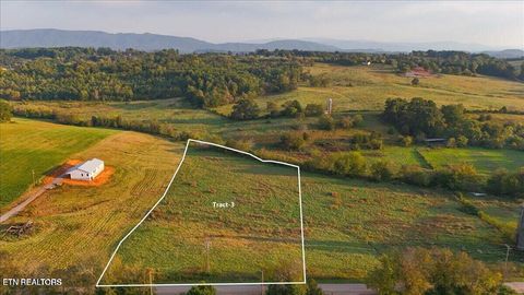 Photo of 5412 Old Niles Ferry Rd, Maryville, TN 37801 (MLS # 1334379)