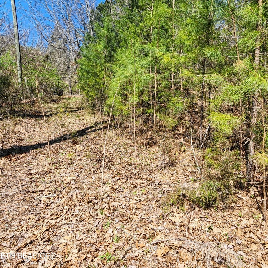 Photo of 2 Hubbs Grove Rd, Maynardville, TN 37807 (MLS # 1256490)