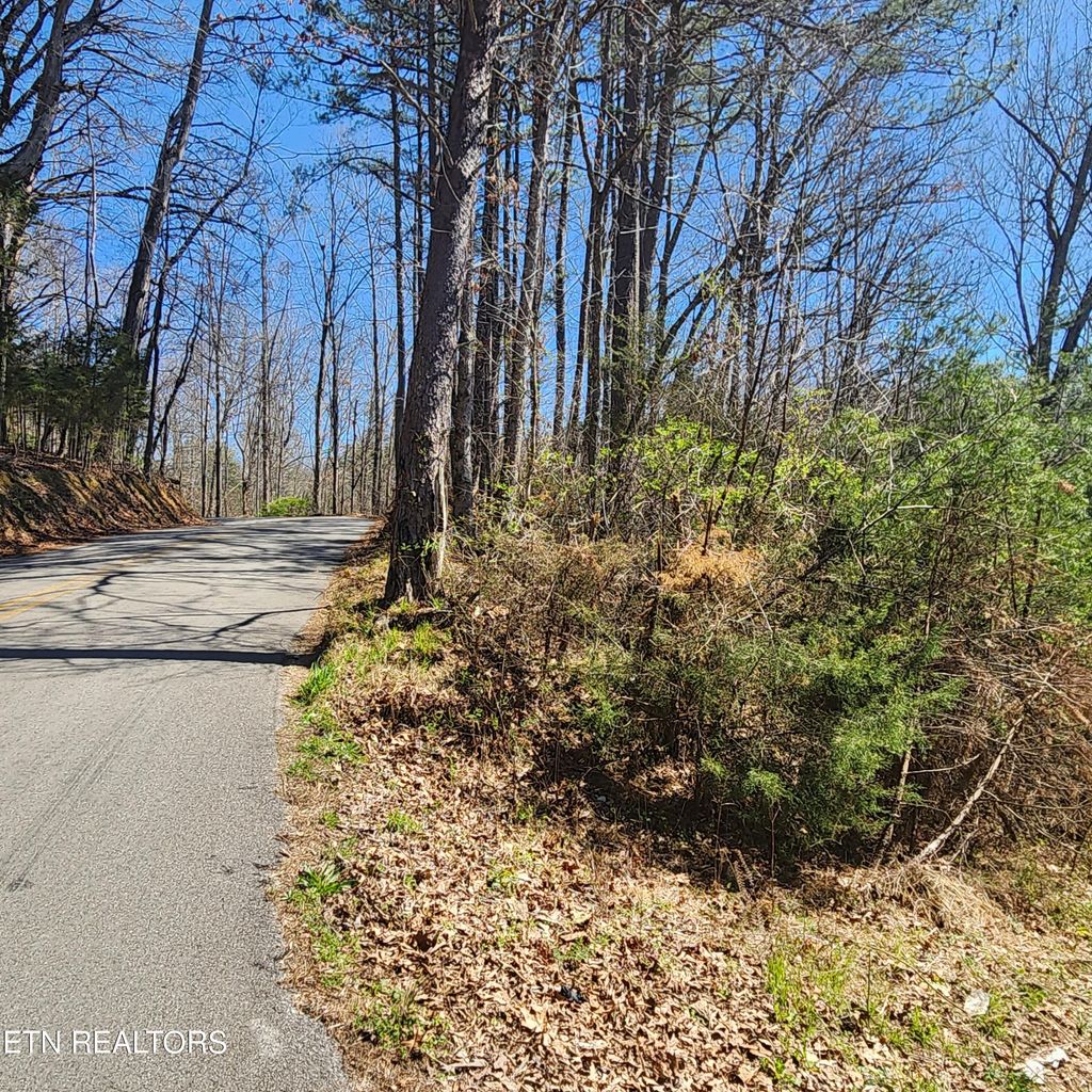 Photo of 2 Hubbs Grove Rd, Maynardville, TN 37807 (MLS # 1256490)