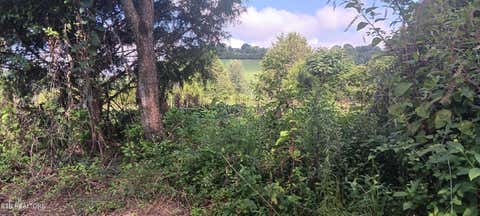 Tiny photo for 1133 Wheeler Rd, Harrogate, TN 37752 (MLS # 1348588)