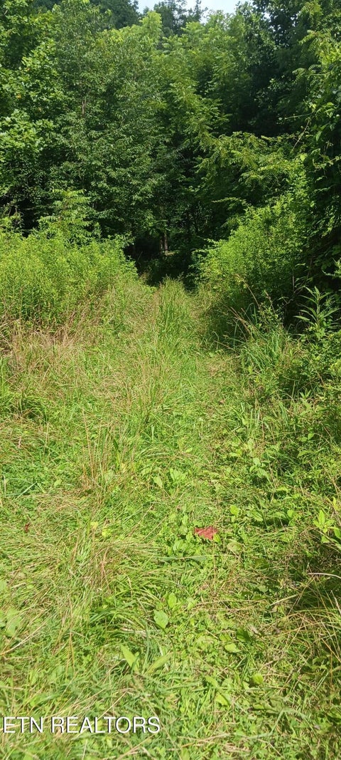 Tiny photo for 1133 Wheeler Rd, Harrogate, TN 37752 (MLS # 1348588)