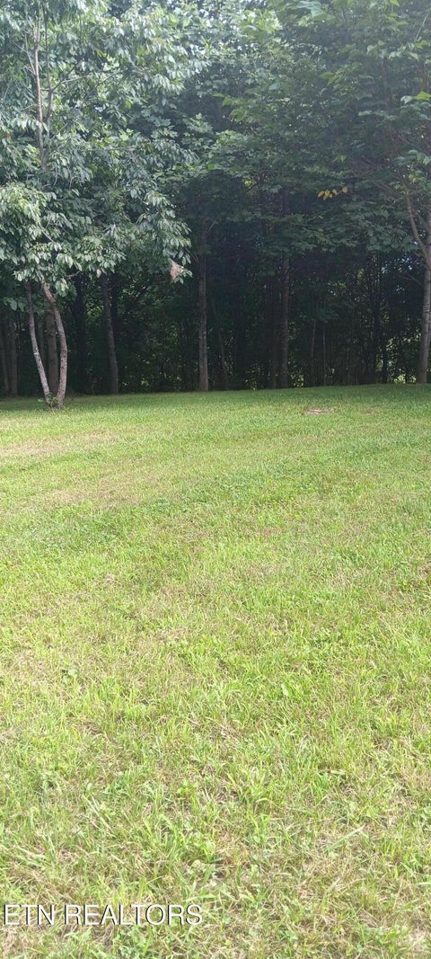 Tiny photo for 1133 Wheeler Rd, Harrogate, TN 37752 (MLS # 1348588)