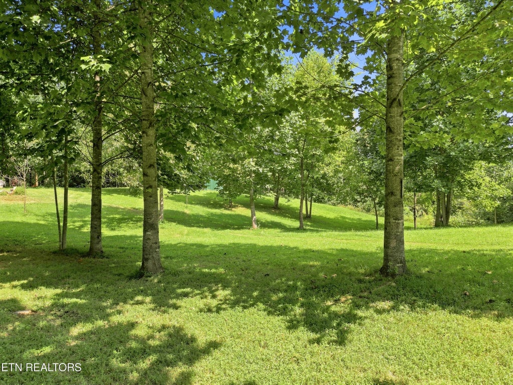 Photo of 1133 Wheeler Rd, Harrogate, TN 37752 (MLS # 1348588)
