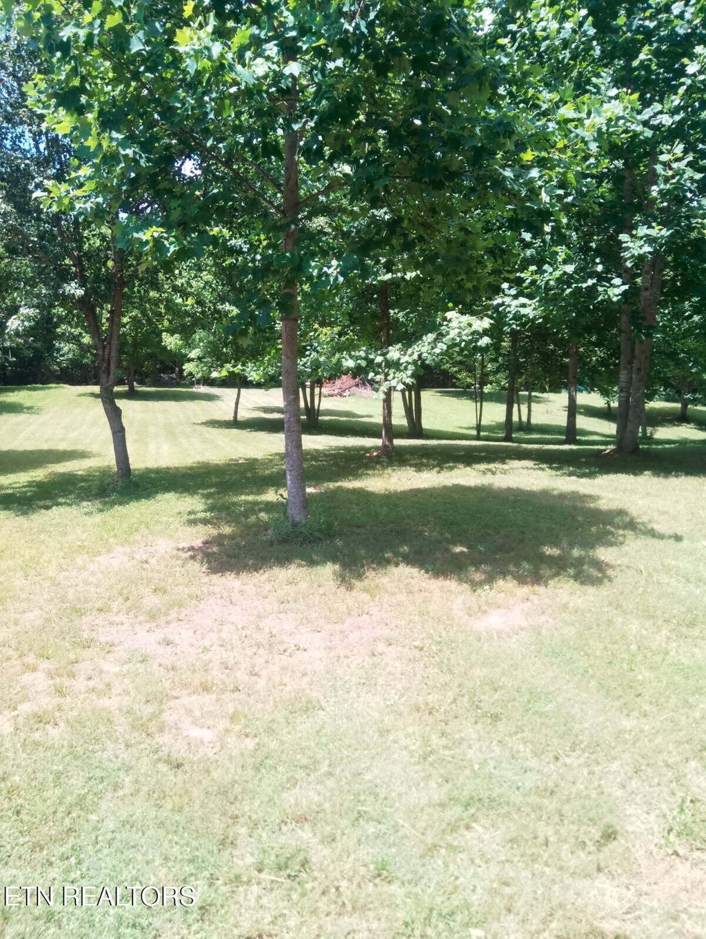Photo of 1133 Wheeler Rd, Harrogate, TN 37752 (MLS # 1348588)