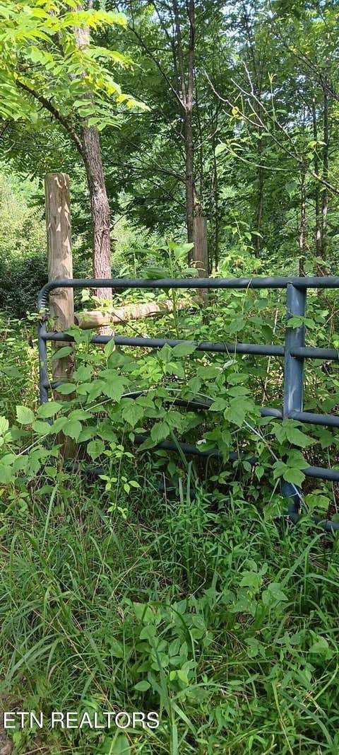 Tiny photo for 1133 Wheeler Rd, Harrogate, TN 37752 (MLS # 1348588)