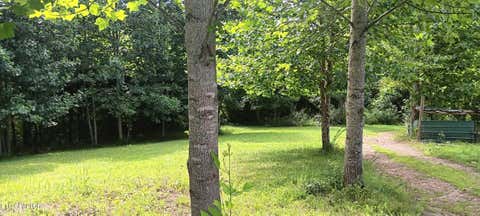 Tiny photo for 1133 Wheeler Rd, Harrogate, TN 37752 (MLS # 1348588)