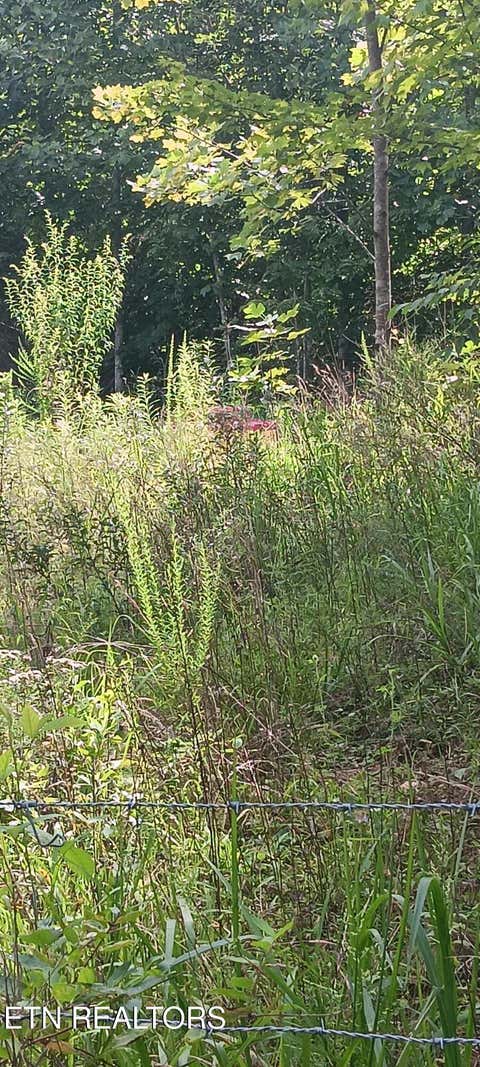 Tiny photo for 1133 Wheeler Rd, Harrogate, TN 37752 (MLS # 1348588)