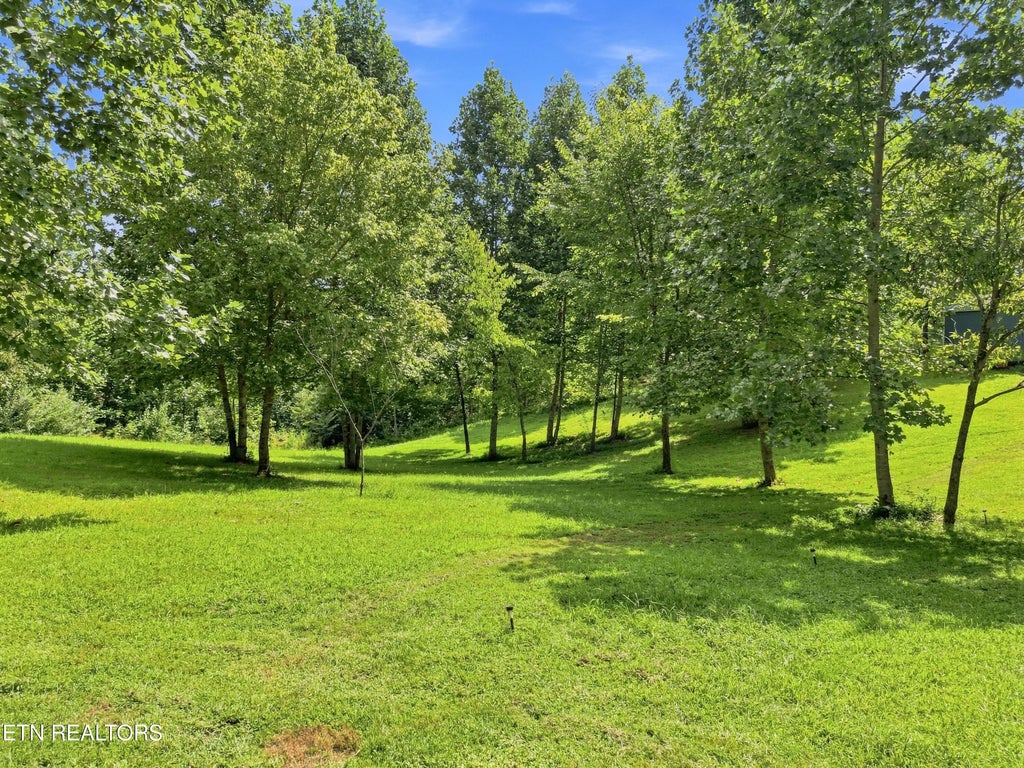 Photo of 1133 Wheeler Rd, Harrogate, TN 37752 (MLS # 1348588)