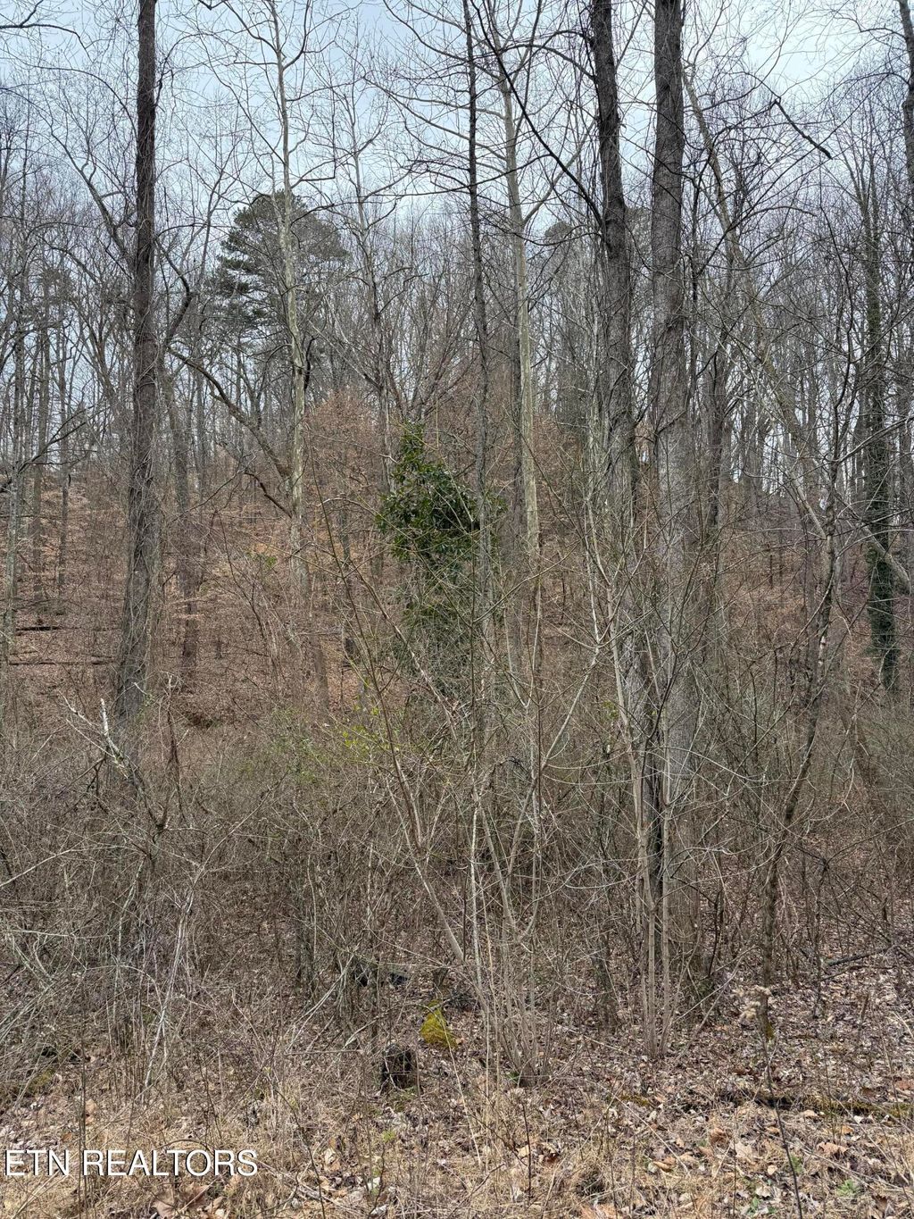 Photo of 1801 Lyons Bend Rd, Knoxville, TN 37919 (MLS # 1292295)