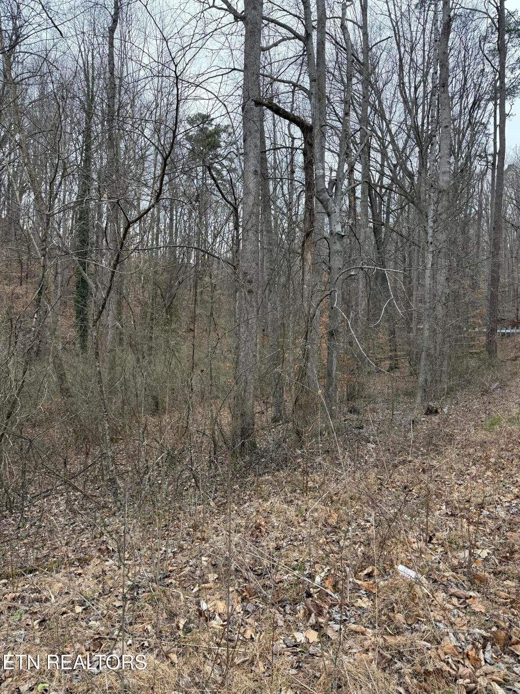 Photo of 1801 Lyons Bend Rd, Knoxville, TN 37919 (MLS # 1292295)