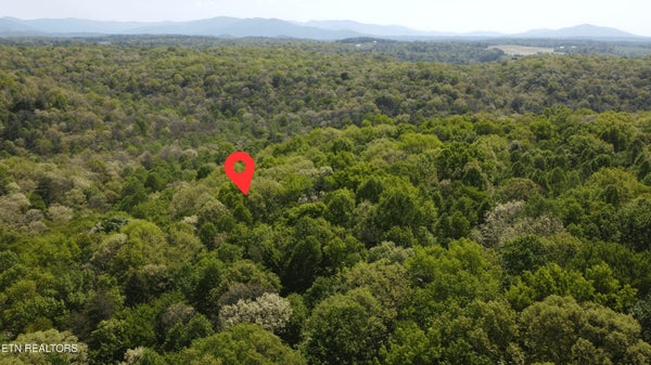 391 RIDGE RD, LANCING, TN 37770 - Image ea4231703d4f01687c263e2c3e7ec39f/730204957