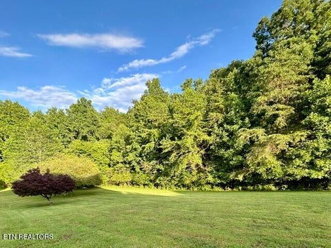 Tiny photo for 140 Nunyu Tr, Vonore, TN 37885 (MLS # 1342492)