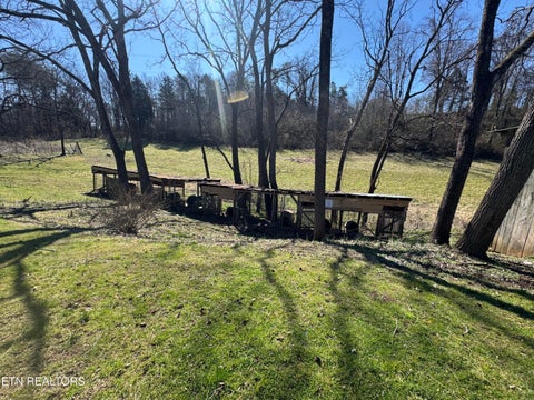 Tiny photo for 340 Faithful Rd, Parrottsville, TN 37843 (MLS # 1342661)