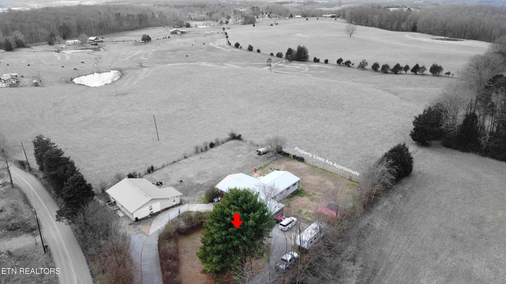 Photo of 285 County Road 260, Niota, TN 37826 (MLS # 1330721)