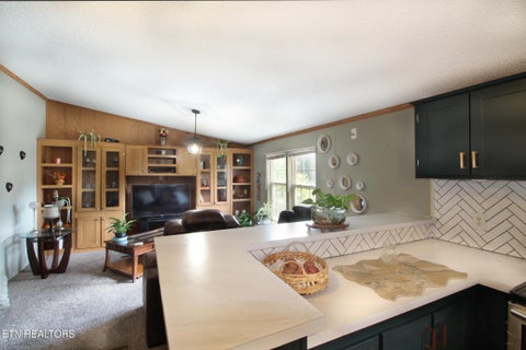 Tiny photo for 9115 Buttermilk Rd, Lenoir City, TN 37771 (MLS # 1359576)