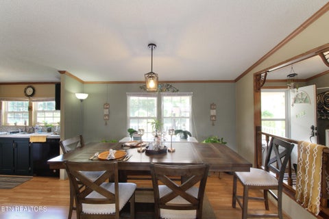 Tiny photo for 9115 Buttermilk Rd, Lenoir City, TN 37771 (MLS # 1359576)