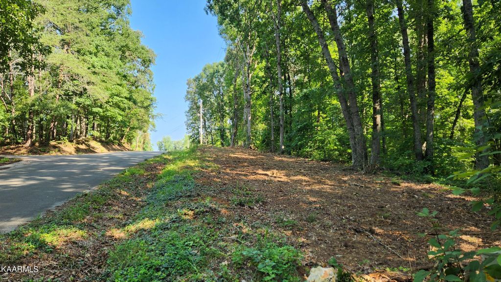 Photo of 1056 Wilderness Rd, Friendsville, TN 37737 (MLS # 1235614)