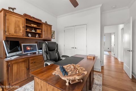 Tiny photo for 329 Walelu Tr, Vonore, TN 37885 (MLS # 1333232)