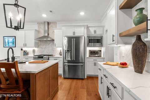 Tiny photo for 329 Walelu Tr, Vonore, TN 37885 (MLS # 1333232)