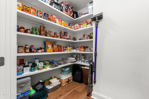 Tiny photo for 329 Walelu Tr, Vonore, TN 37885 (MLS # 1333232)