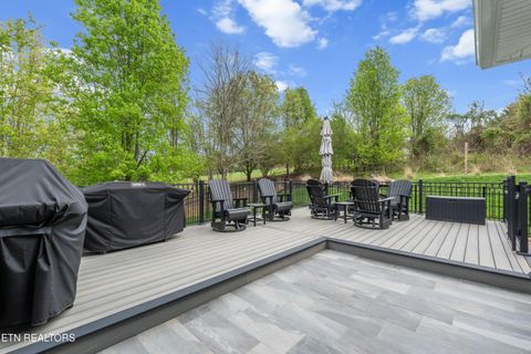 Tiny photo for 329 Walelu Tr, Vonore, TN 37885 (MLS # 1333232)