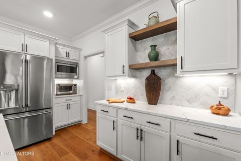 Tiny photo for 329 Walelu Tr, Vonore, TN 37885 (MLS # 1333232)