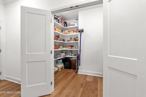 Tiny photo for 329 Walelu Tr, Vonore, TN 37885 (MLS # 1333232)