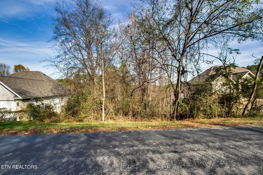 Photo of 306 Awohili Lane, Loudon, TN 37774 (MLS # 1283268)