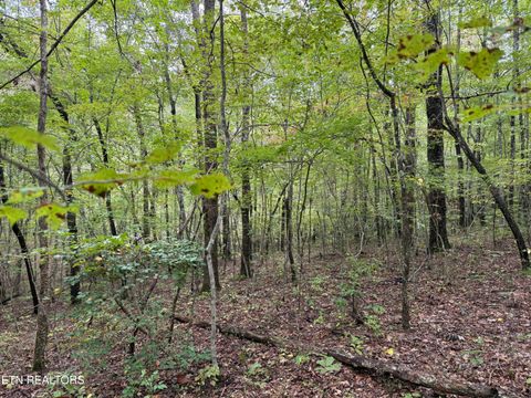 Photo of High Place, Monterey, TN 38574 (MLS # 1330488)