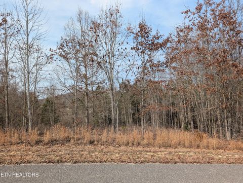 Tiny photo for 52 Taylor Way/Fooshee Pass #52, Ten Mile, TN 37880 (MLS # 1333495)